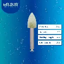 Orthodontic-Series-Bonding-Cement-Removal-J9361.webp
